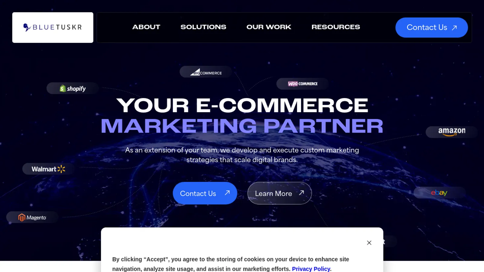 Screenshot of the BlueTuskr homepage