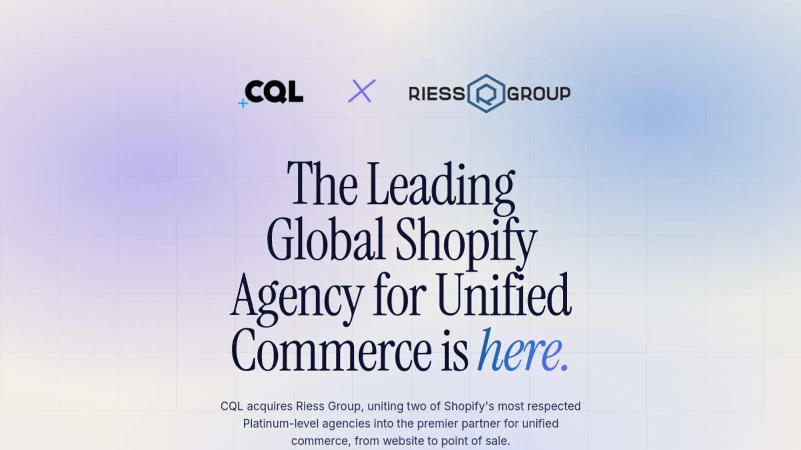 Screenshot of the Riess Group homepage