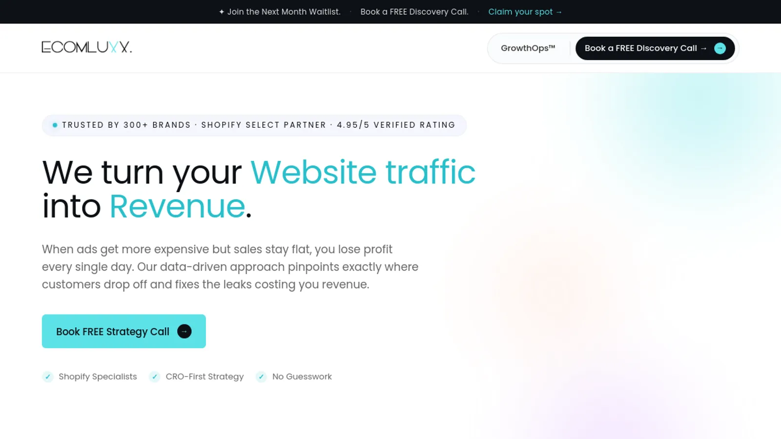 Screenshot of the Ecom Luxx homepage