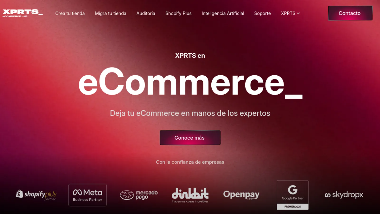 Screenshot of the XPRTS Agency by dinkbit homepage