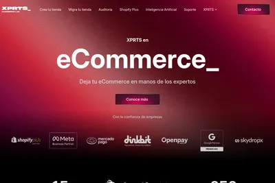 Screenshot of the XPRTS Agency by dinkbit homepage