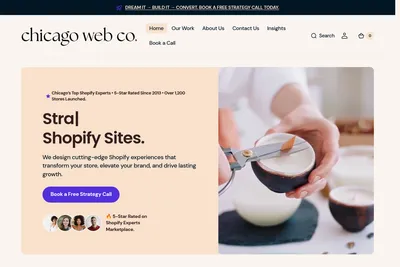 Screenshot of the The Chicago Web Co. homepage