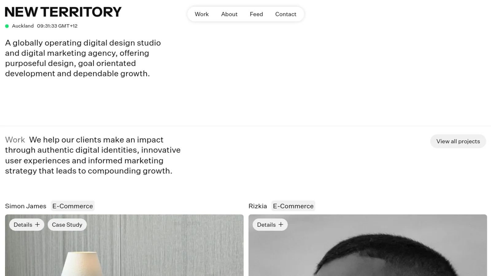 Screenshot of the New Territory Studio homepage