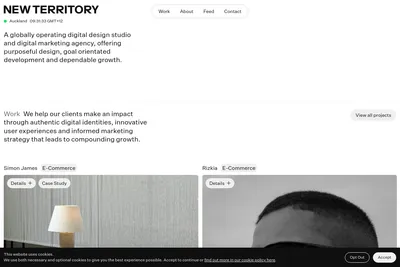 Screenshot of the New Territory Studio homepage