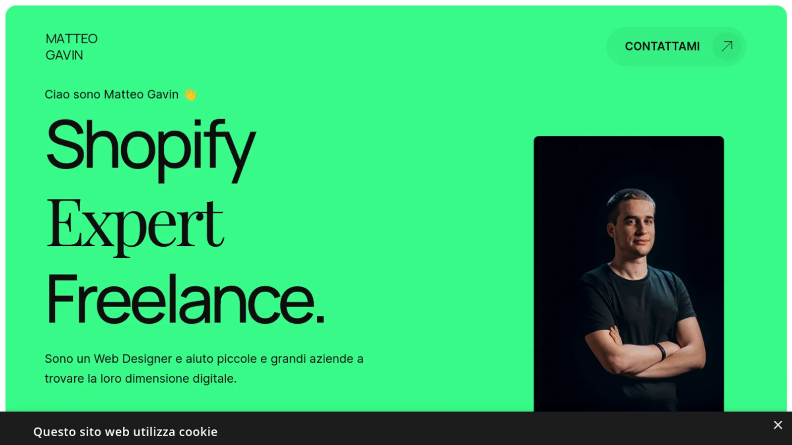Screenshot of the Matteo Gavin homepage