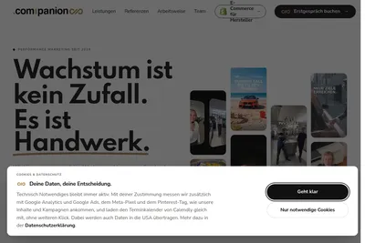 Screenshot of the .com-panion homepage