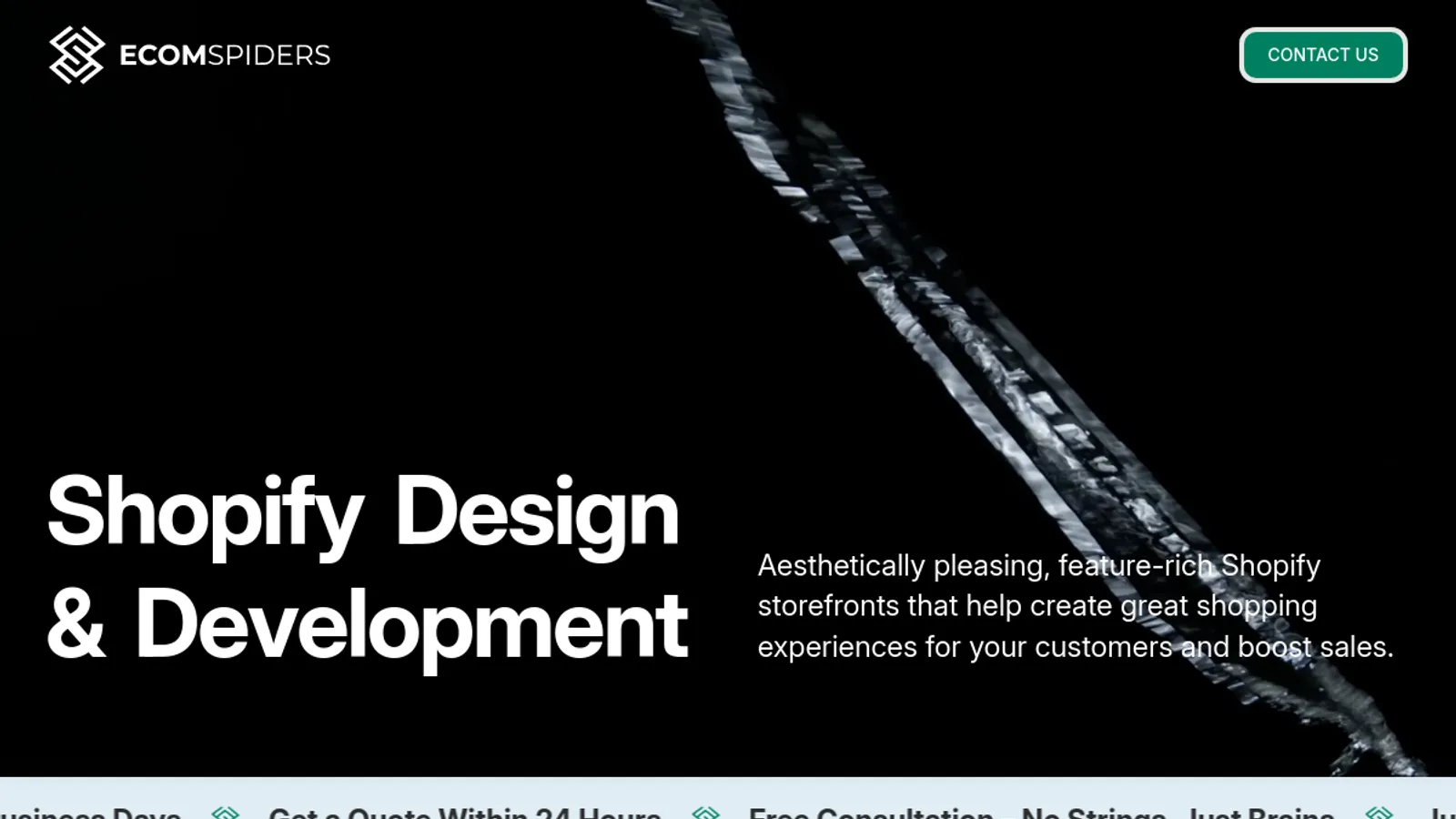 Screenshot of the EcomSpiders homepage