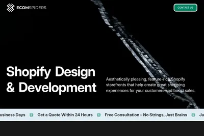 Screenshot of the EcomSpiders homepage