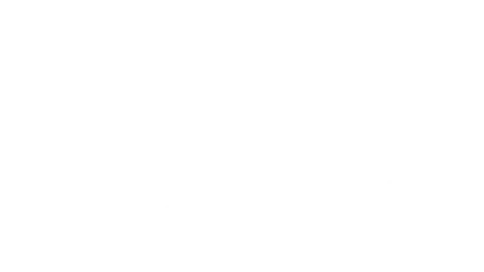 The Teahouse