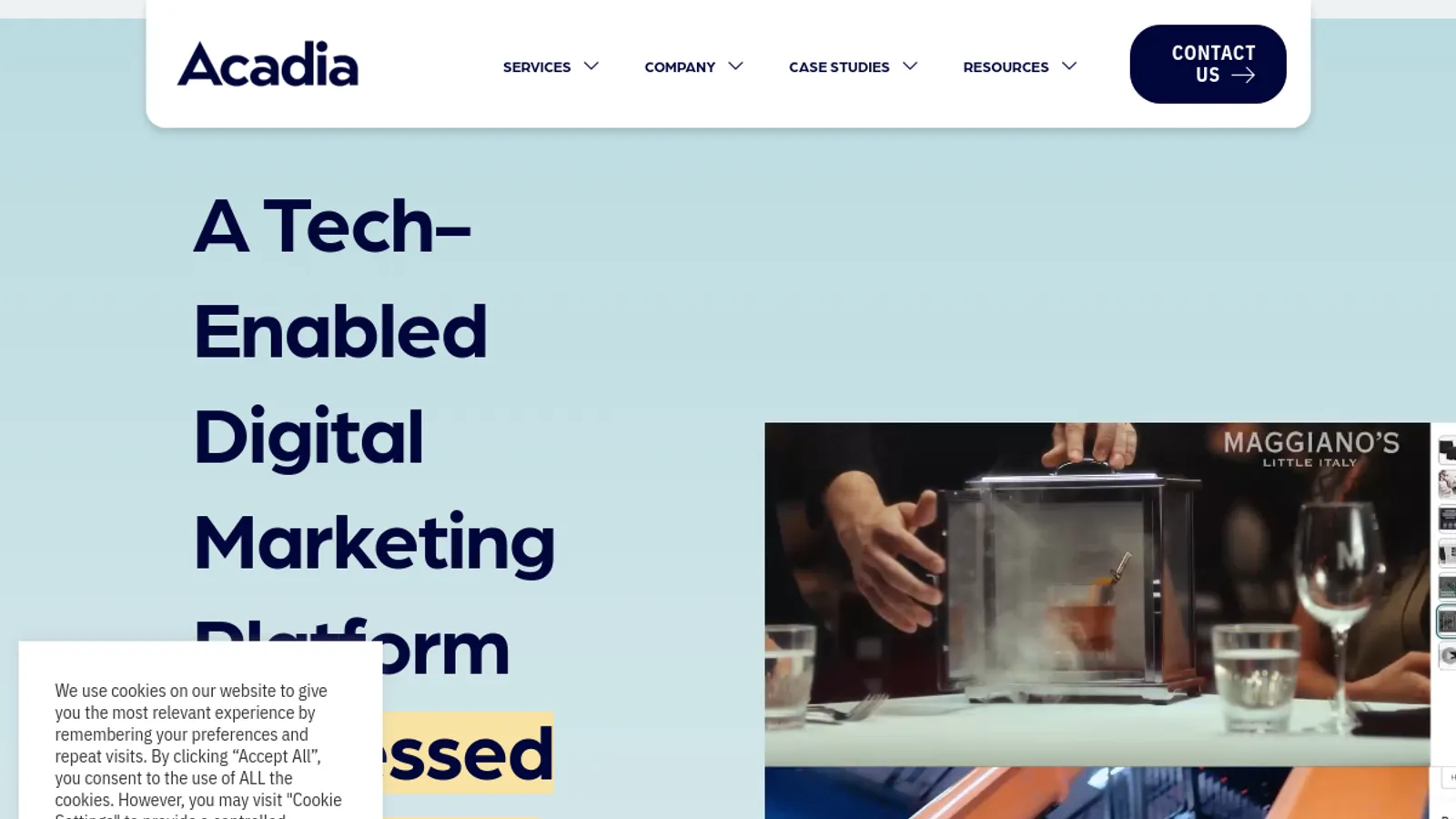 Screenshot of the Acadia.io LLC homepage