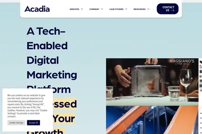 Screenshot of the Acadia.io LLC homepage