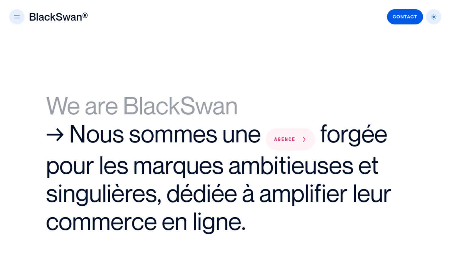 Screenshot of the BlackSwan SL homepage