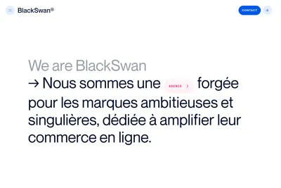 Screenshot of the BlackSwan SL homepage