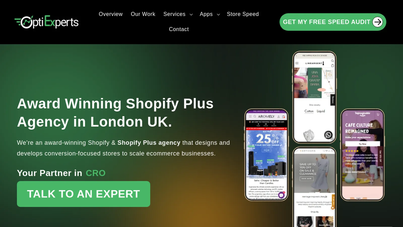 Screenshot of the OptiExperts homepage