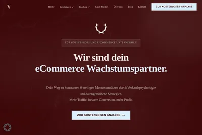 Screenshot of the Hanno Fäßler homepage
