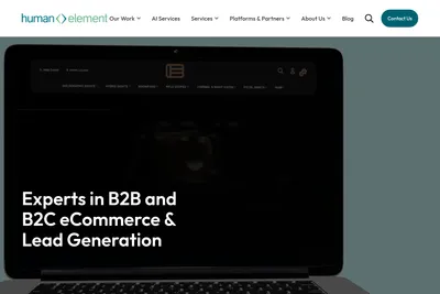 Screenshot of the Human Element homepage