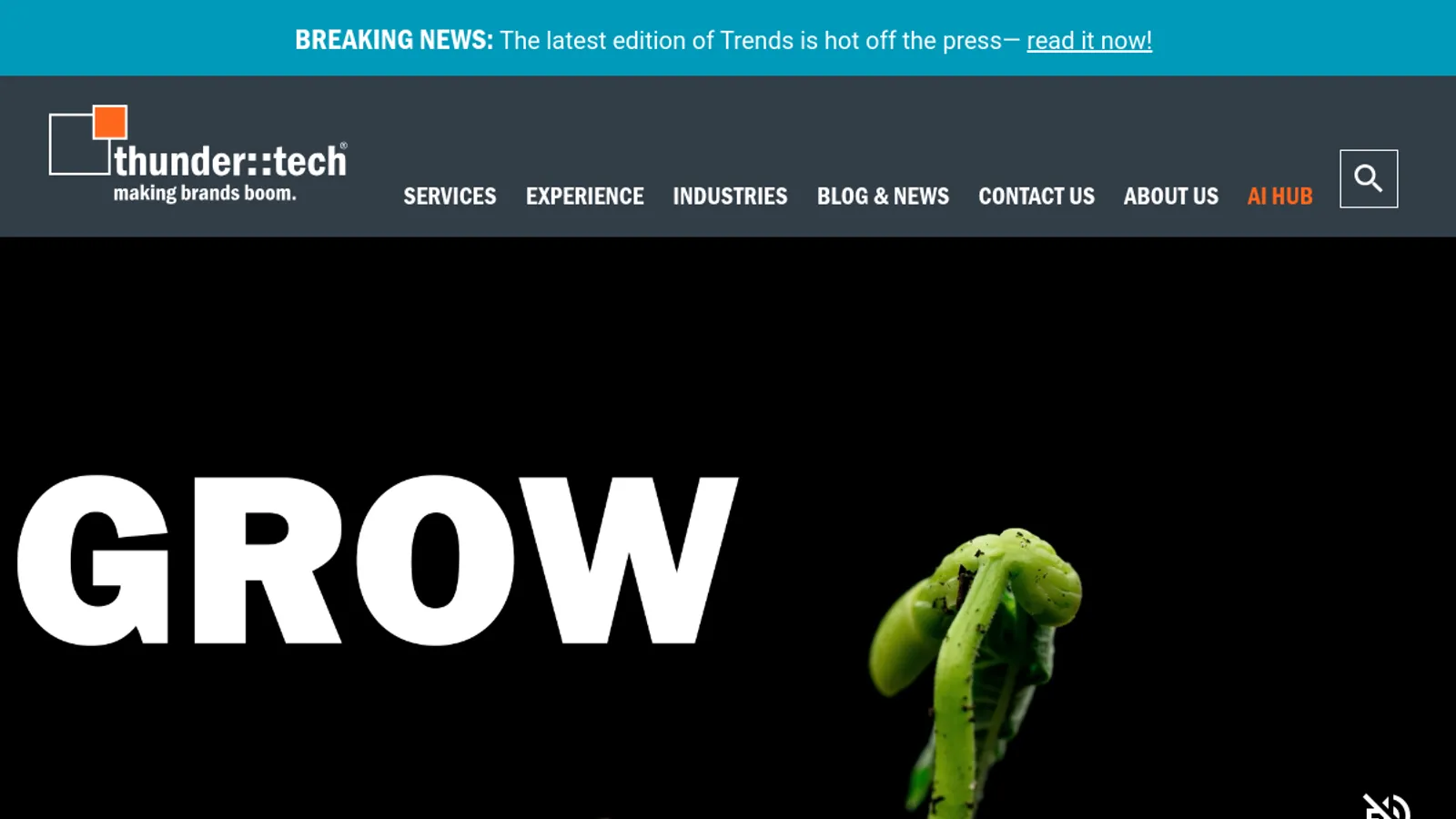 Screenshot of the thunder::tech homepage