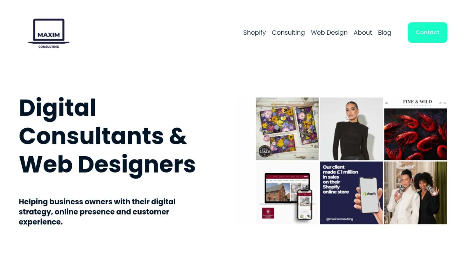 Screenshot of the Maxim Consulting Services homepage