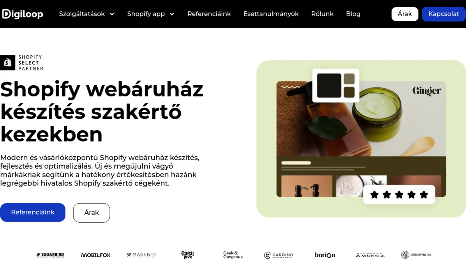 Screenshot of the Digiloop Commerce homepage