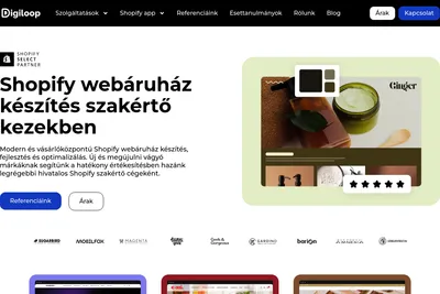 Screenshot of the Digiloop Commerce homepage