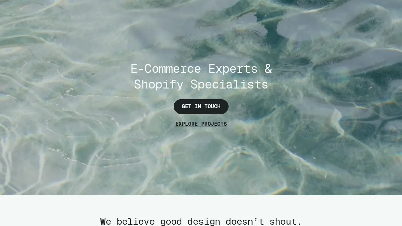 Screenshot of the Freshwater Designs homepage