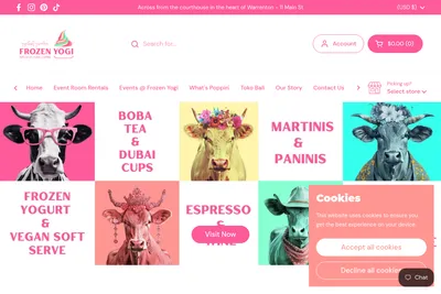 Frozen Yogi website homepage
