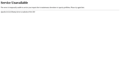 Screenshot of the Adsolut Web Agency homepage