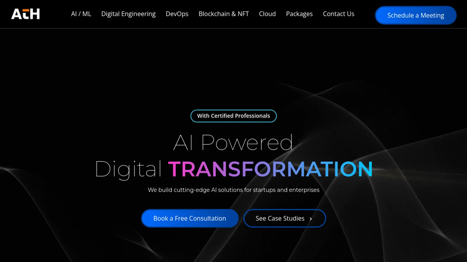 Screenshot of the ATH Infosystems LLC homepage
