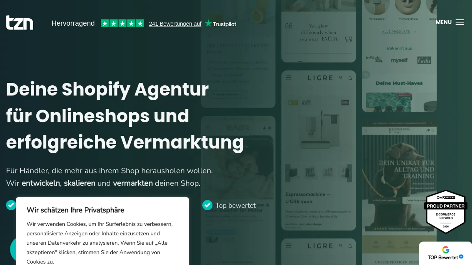 Screenshot of the TZN Digital Ventures GmbH homepage
