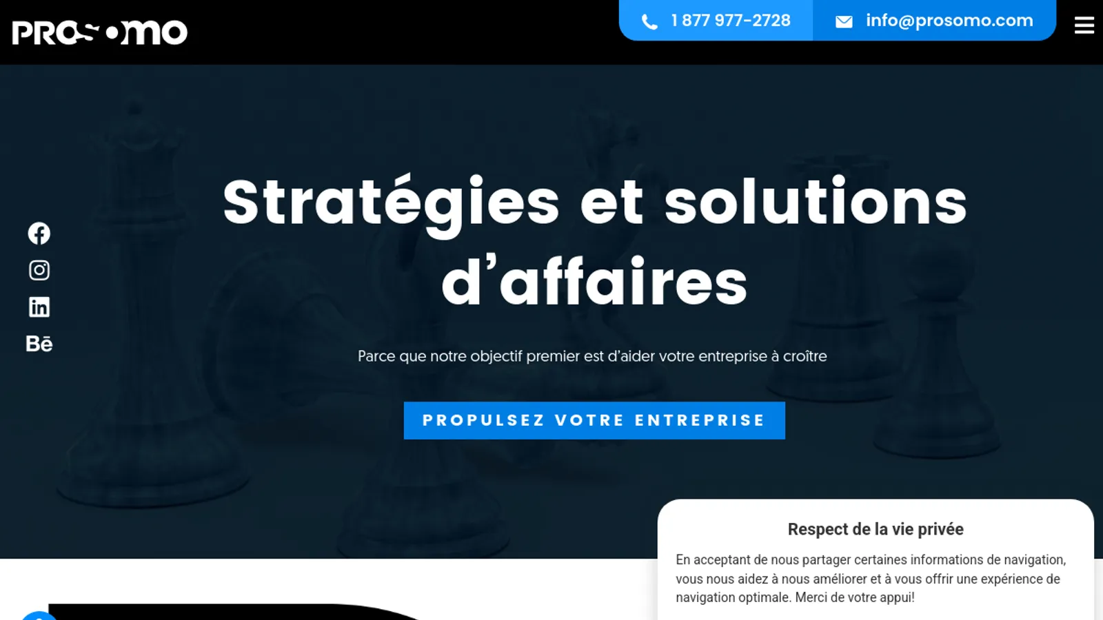 Screenshot of the Prosomo homepage