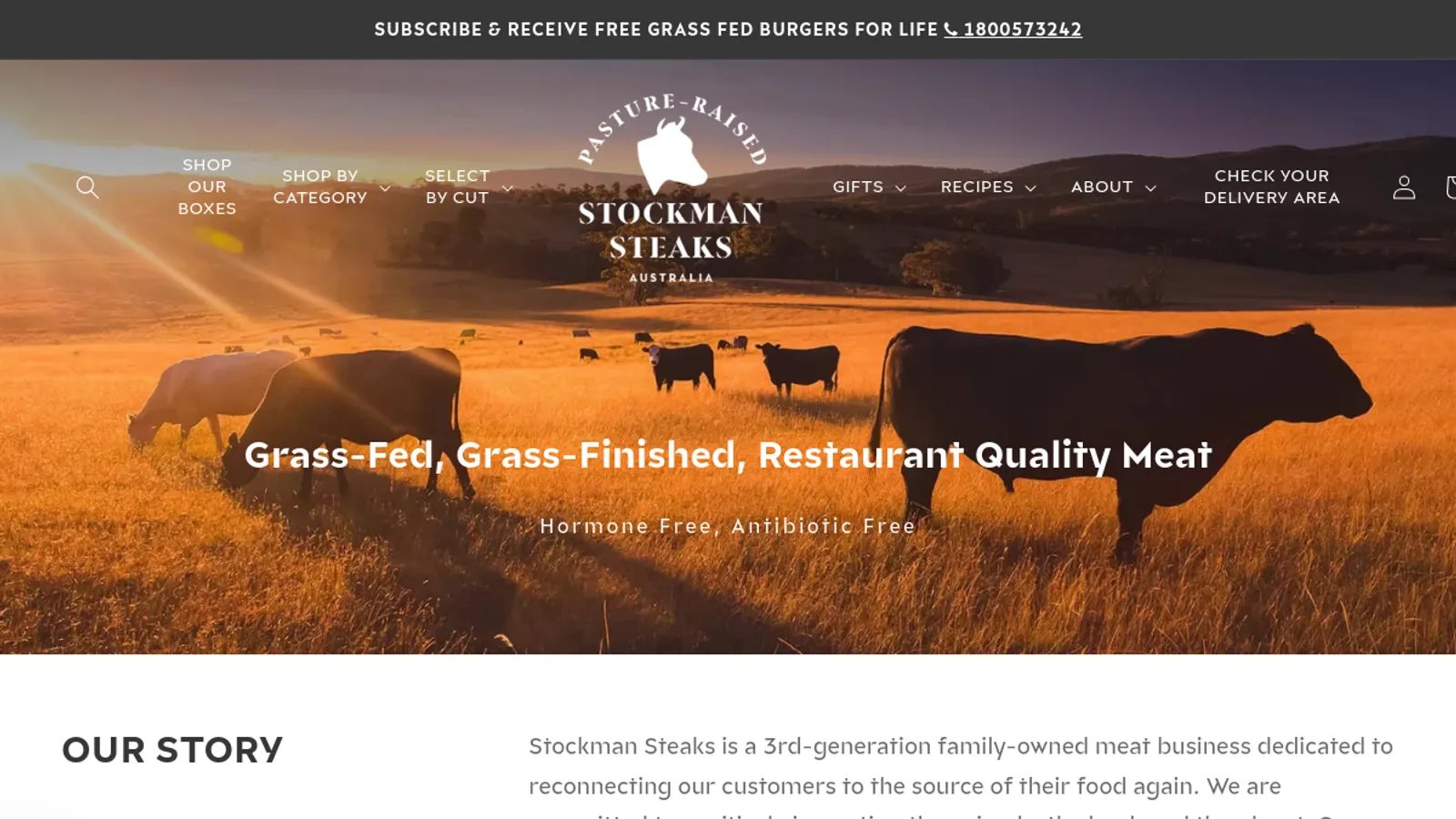 Screenshot of the Stephanus Yanaputra homepage