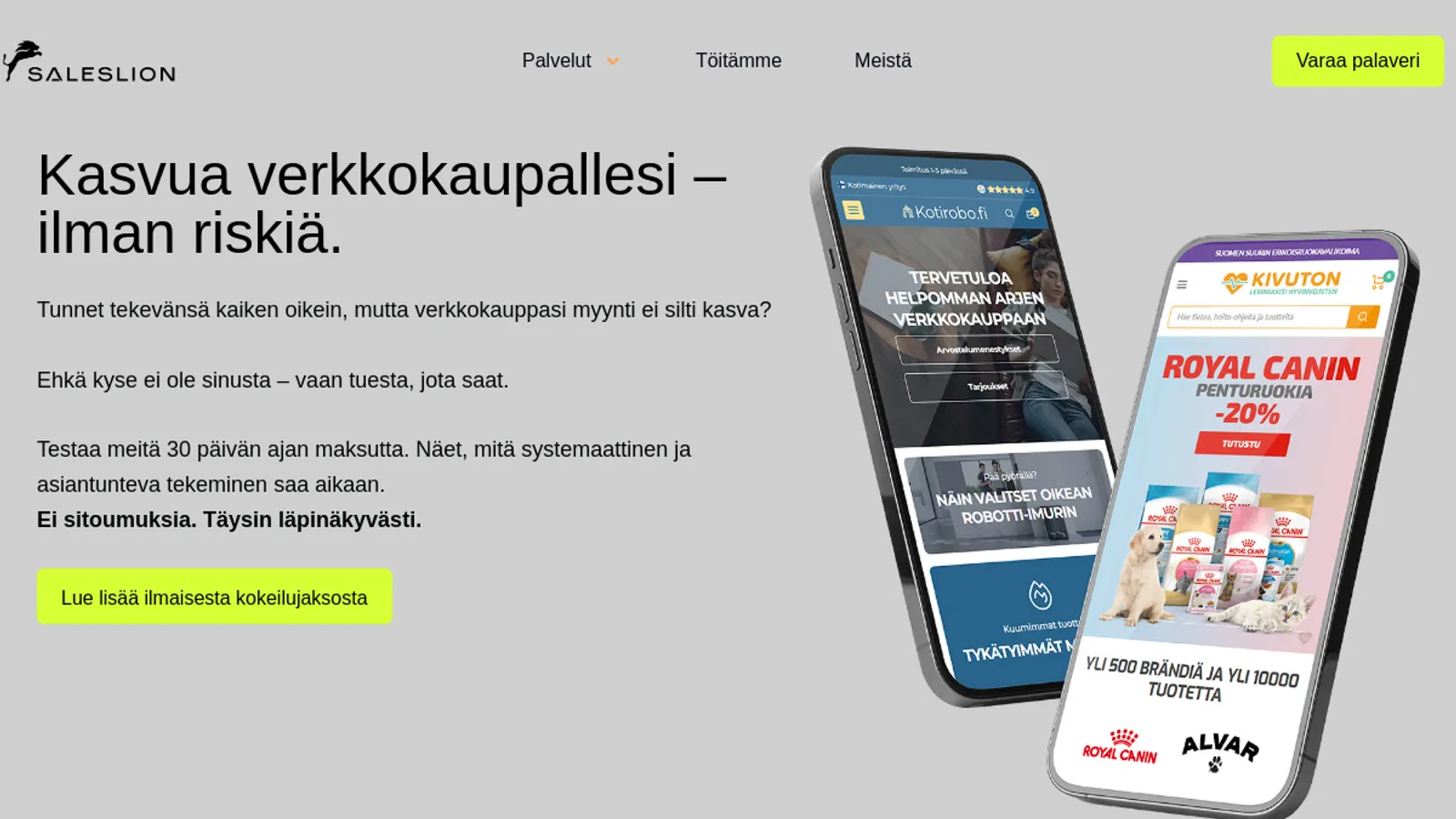 Screenshot of the Saleslion Suomi Oy homepage