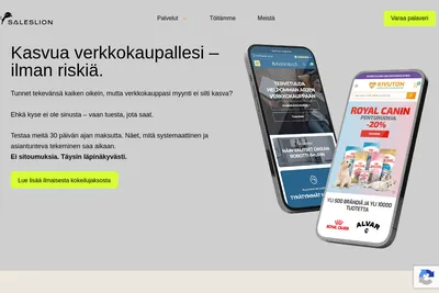 Screenshot of the Saleslion Suomi Oy homepage
