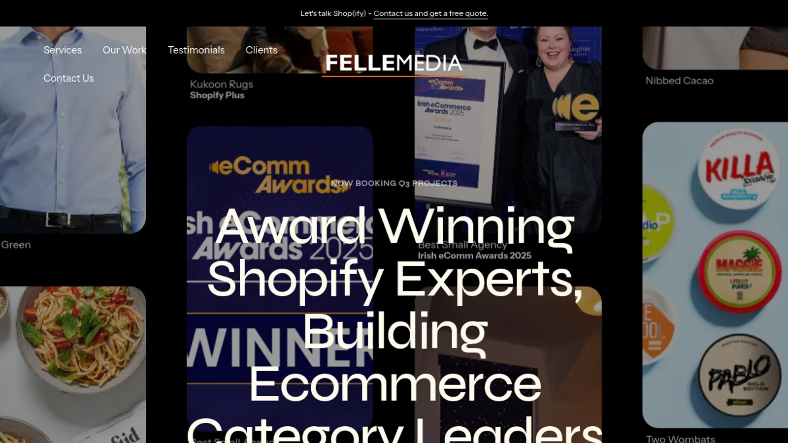 Screenshot of the FelleMedia homepage