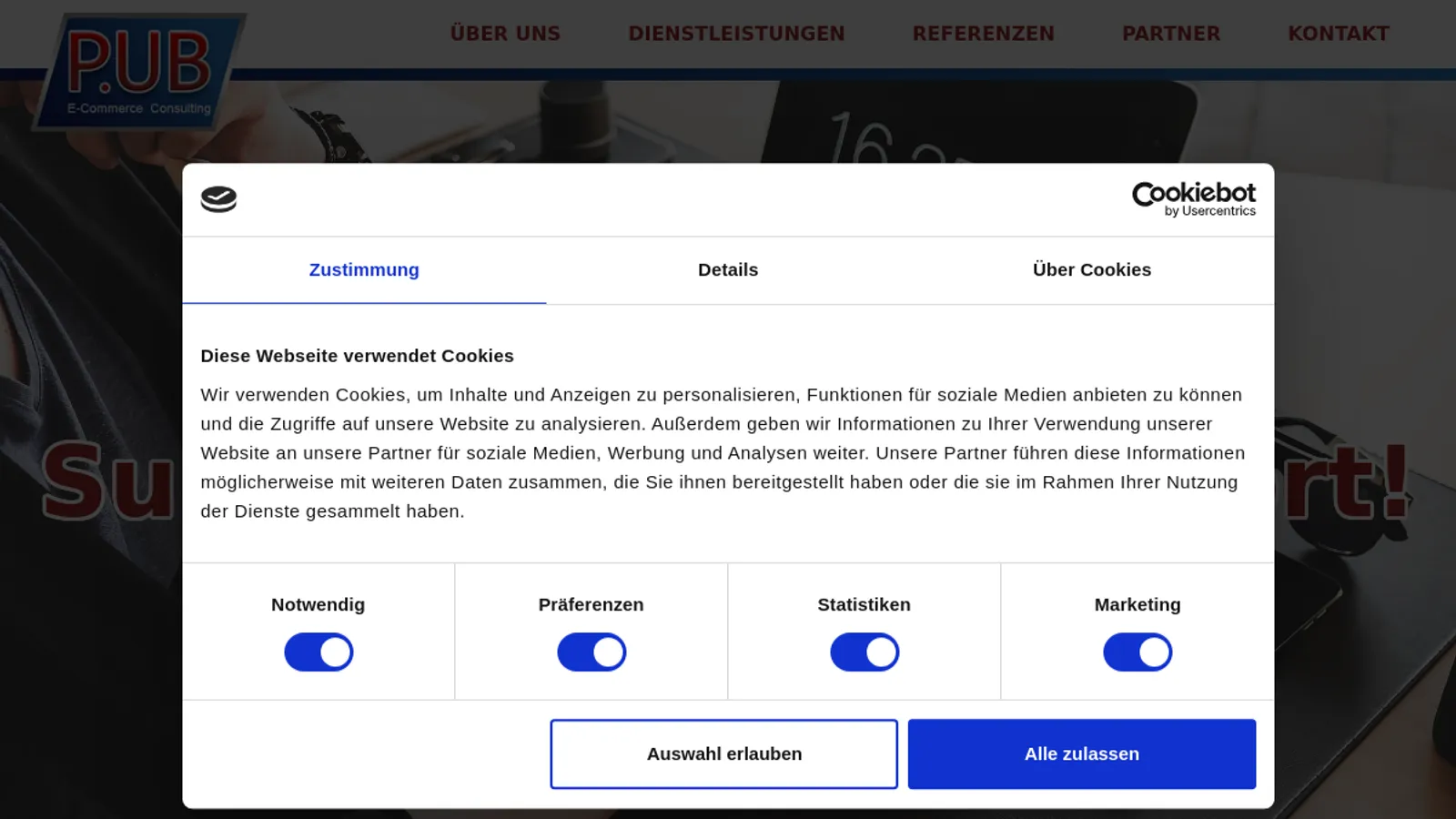 Screenshot of the P.UB E-Commerce Consulting homepage