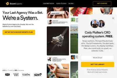 Screenshot of the EcomExperts homepage