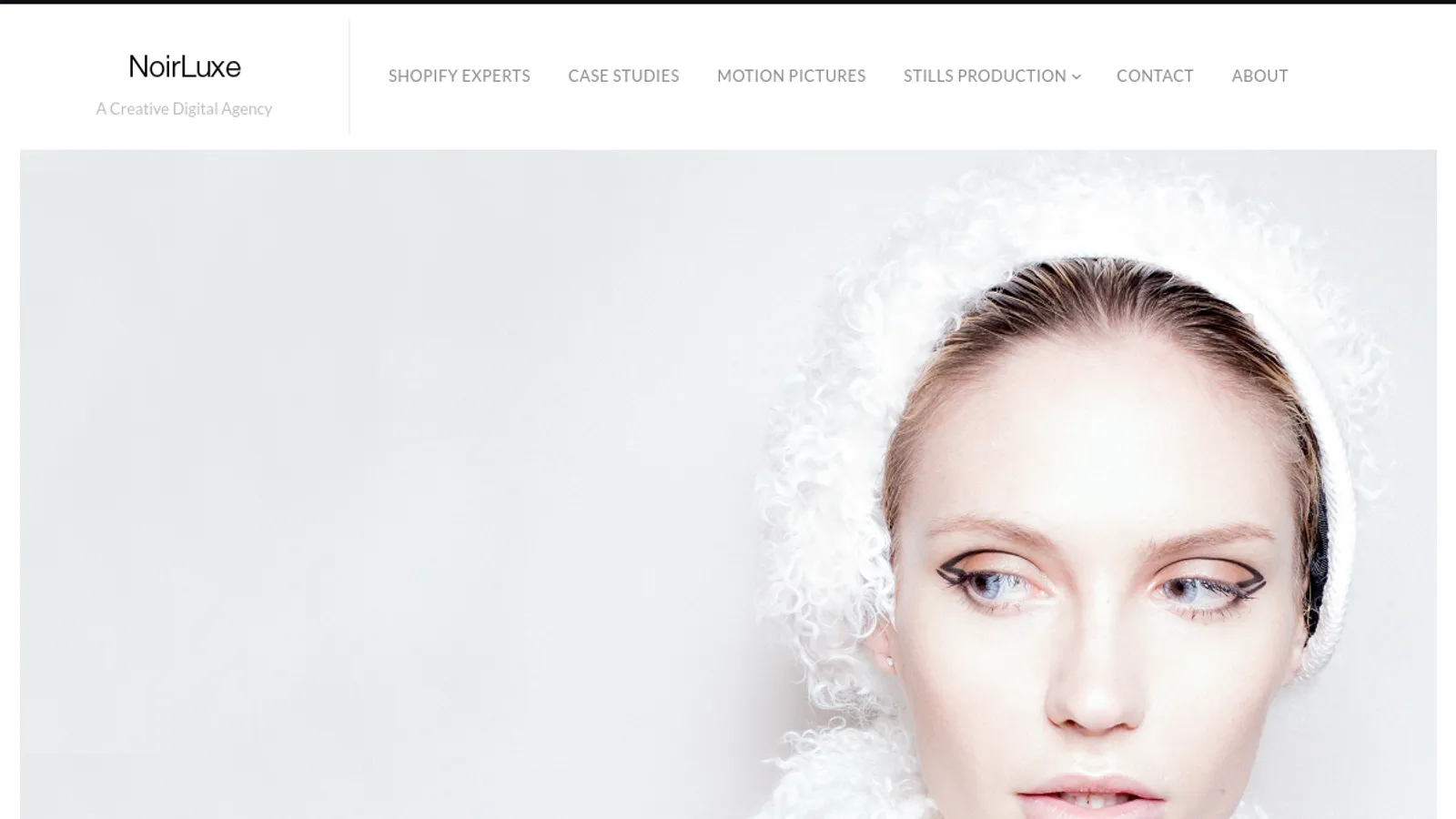 Screenshot of the NoirLuxe homepage