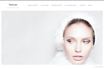 Screenshot of the NoirLuxe homepage