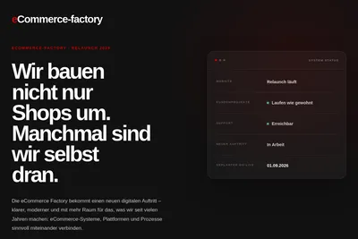 Screenshot of the eCommerce-factory homepage