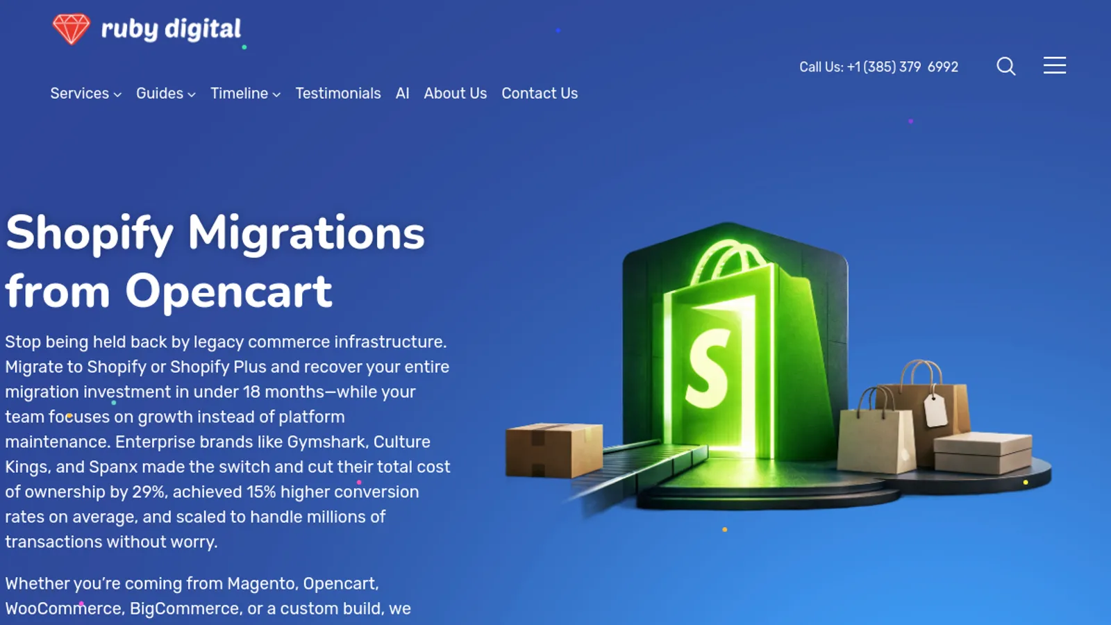 Screenshot of the Ruby Digital Agency homepage