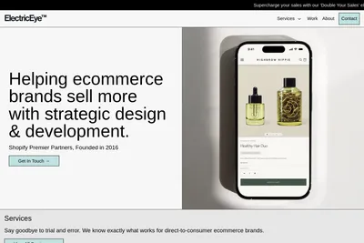 Screenshot of the Electric Eye homepage