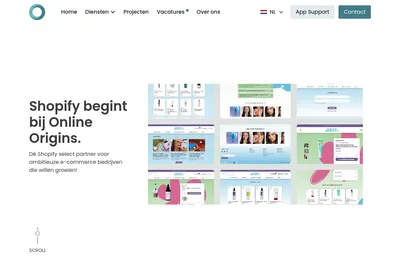 Screenshot of the Online Origins homepage