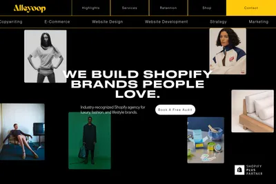 Screenshot of the Alleyoop homepage