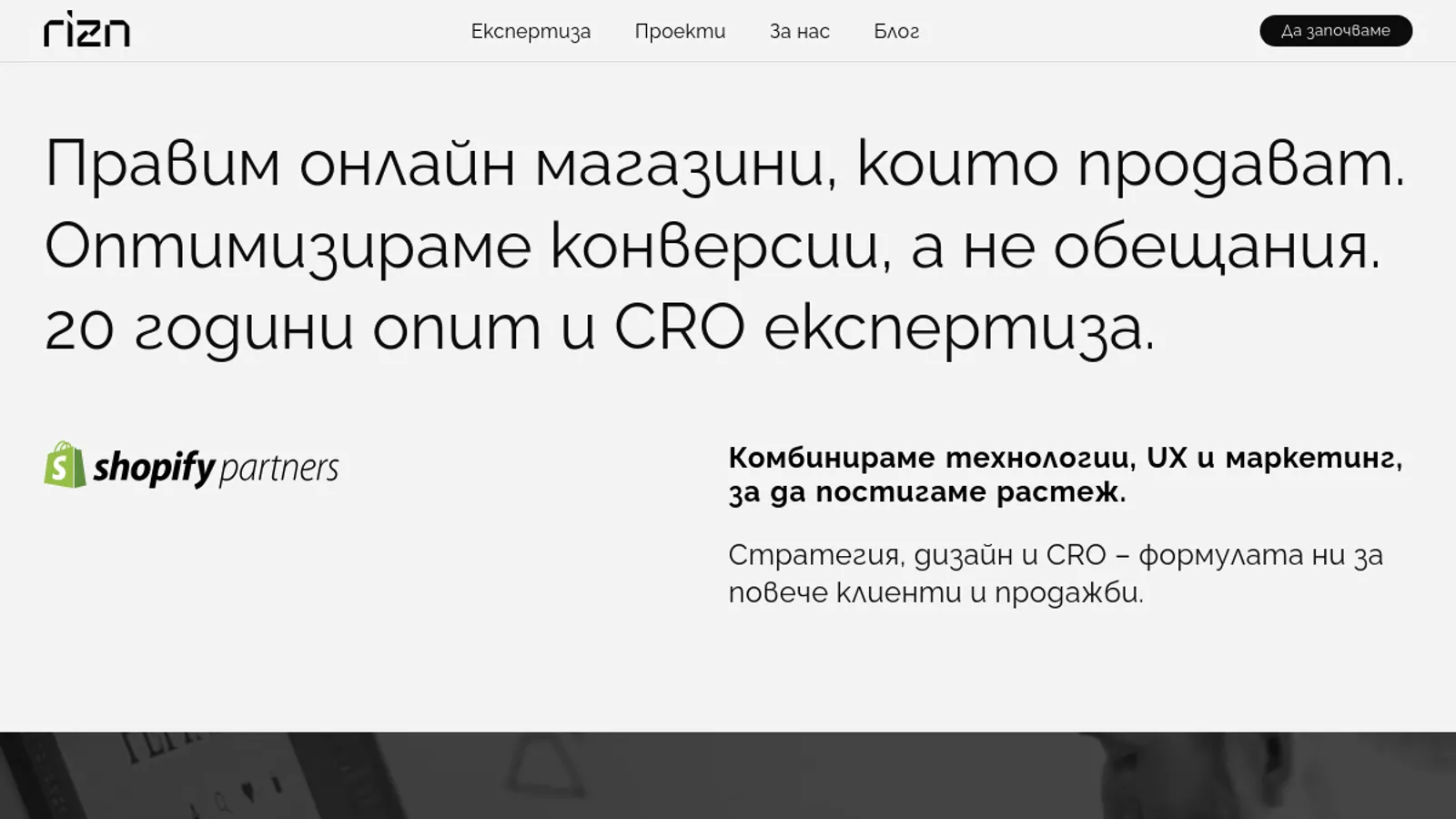 Screenshot of the RIZN homepage