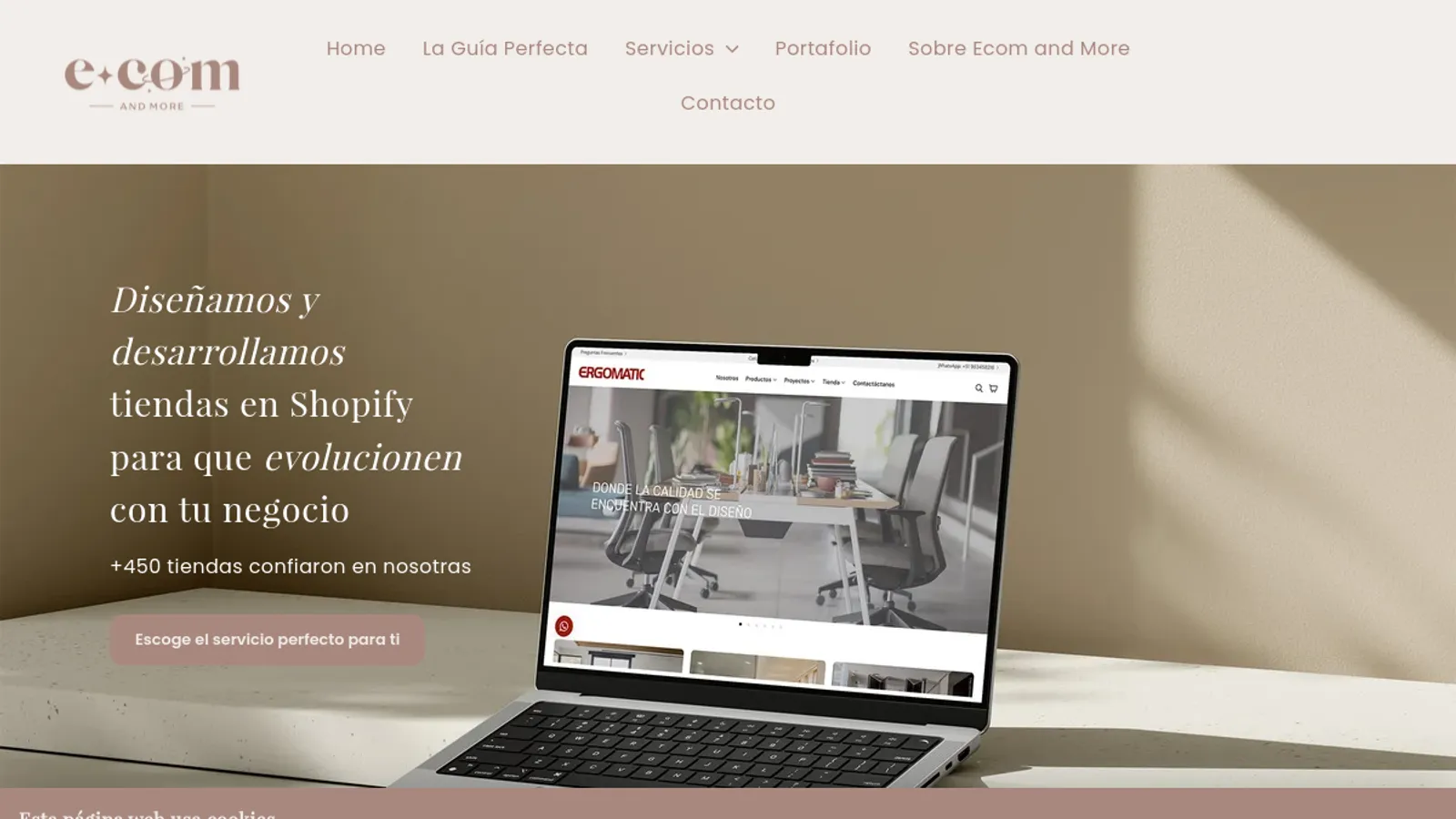 Screenshot of the Ecom and More homepage