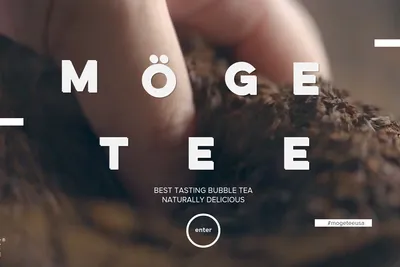 Moge Tee Rochester website homepage