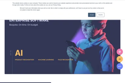 Screenshot of the CustomSoft homepage