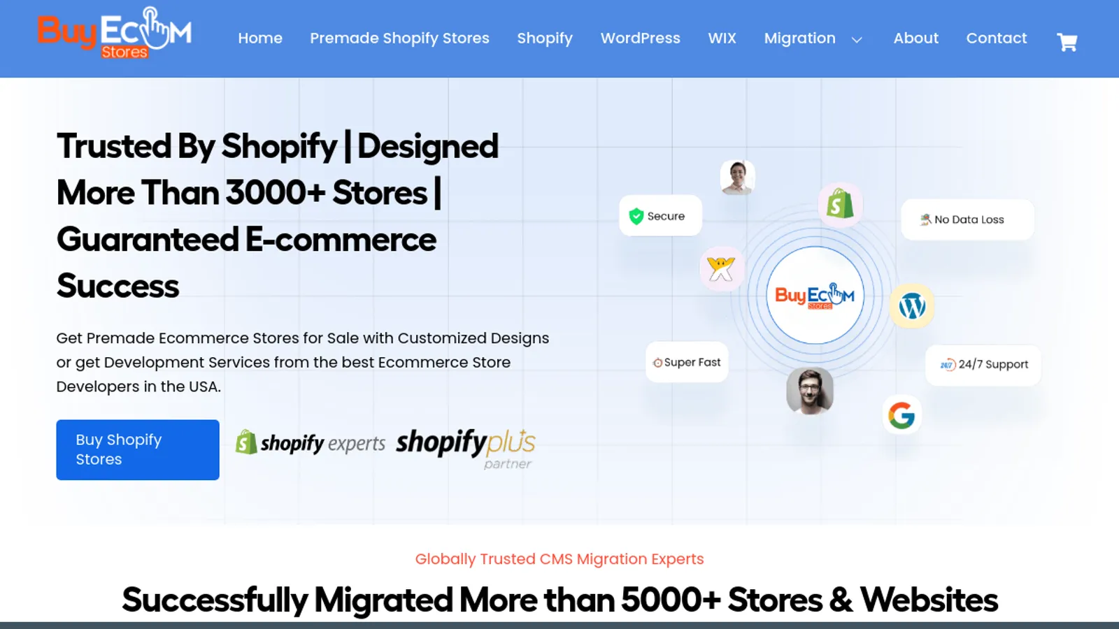 Screenshot of the Buy Ecom Stores homepage