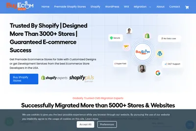Screenshot of the Buy Ecom Stores homepage