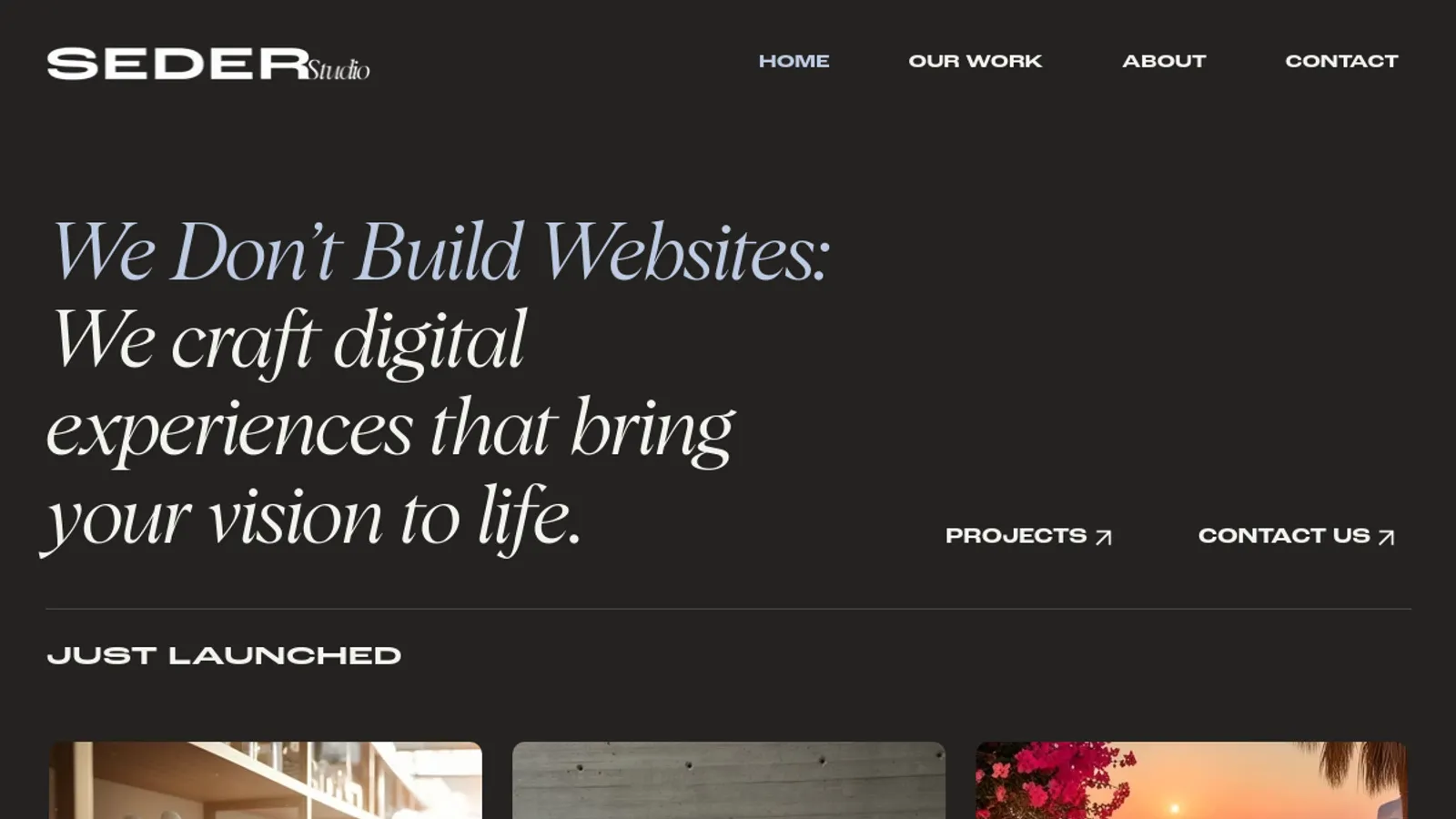 Screenshot of the SEDER Studio homepage